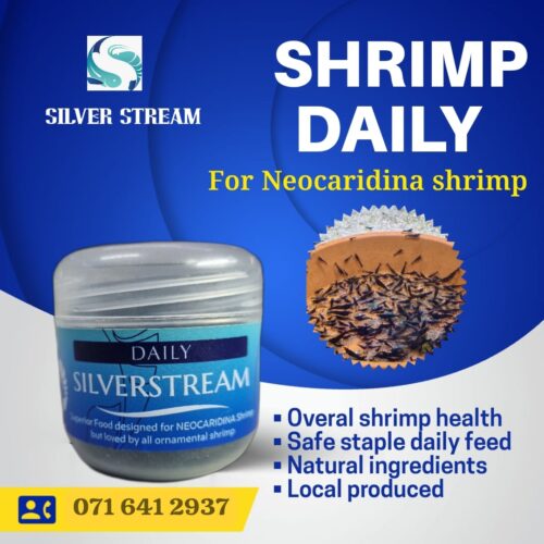 Shrimp DAILY food 30g - IN STOCK