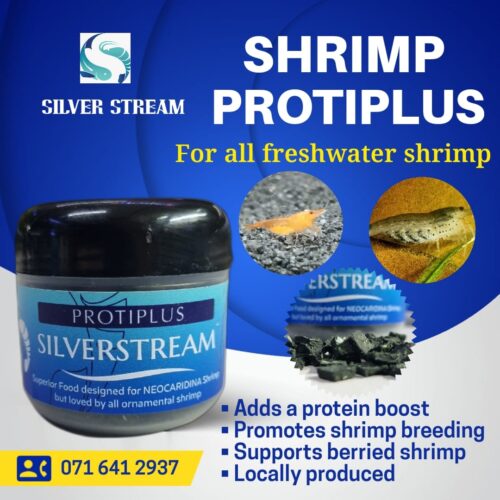 Shrimp Protiplus Food 30g - IN STOCK