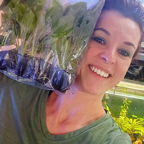 Amazon Sword "Bleheri" IN STOCK