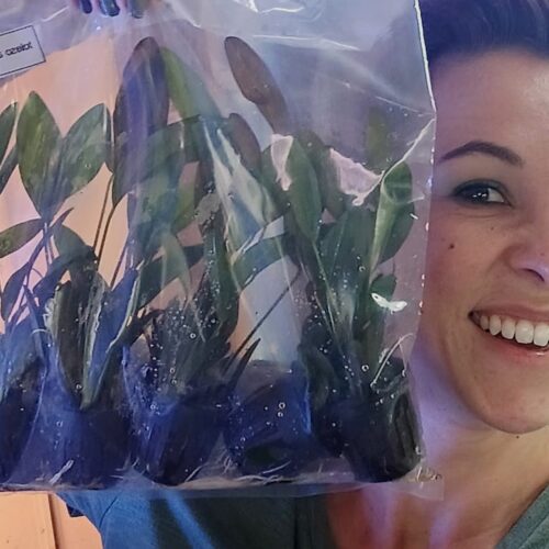 Amazon Sword "Ozelot"