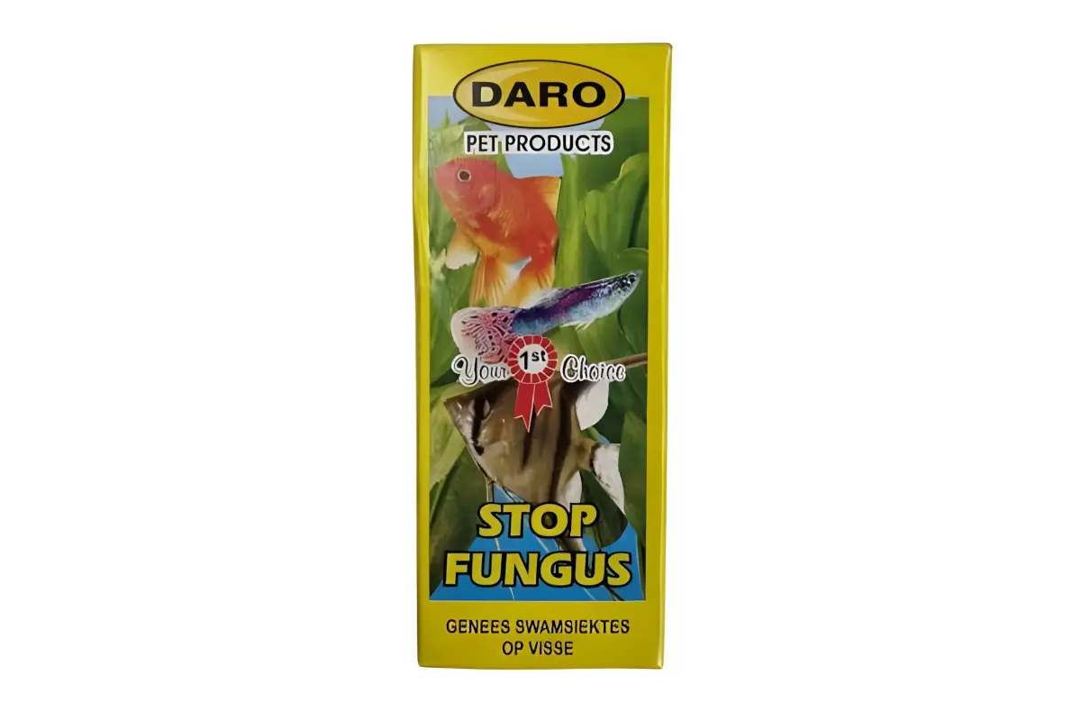 Daro-stop-fungus Daro fungus stop, aquarium edication