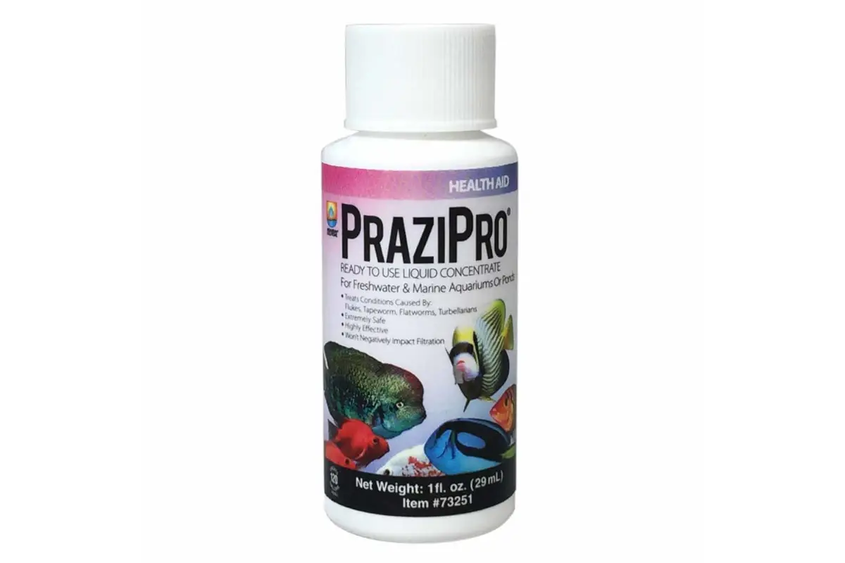 Hikari-Prazipro Hikari Prazipro, aquarium parasite treatment