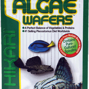 Hikari Algae Wafers